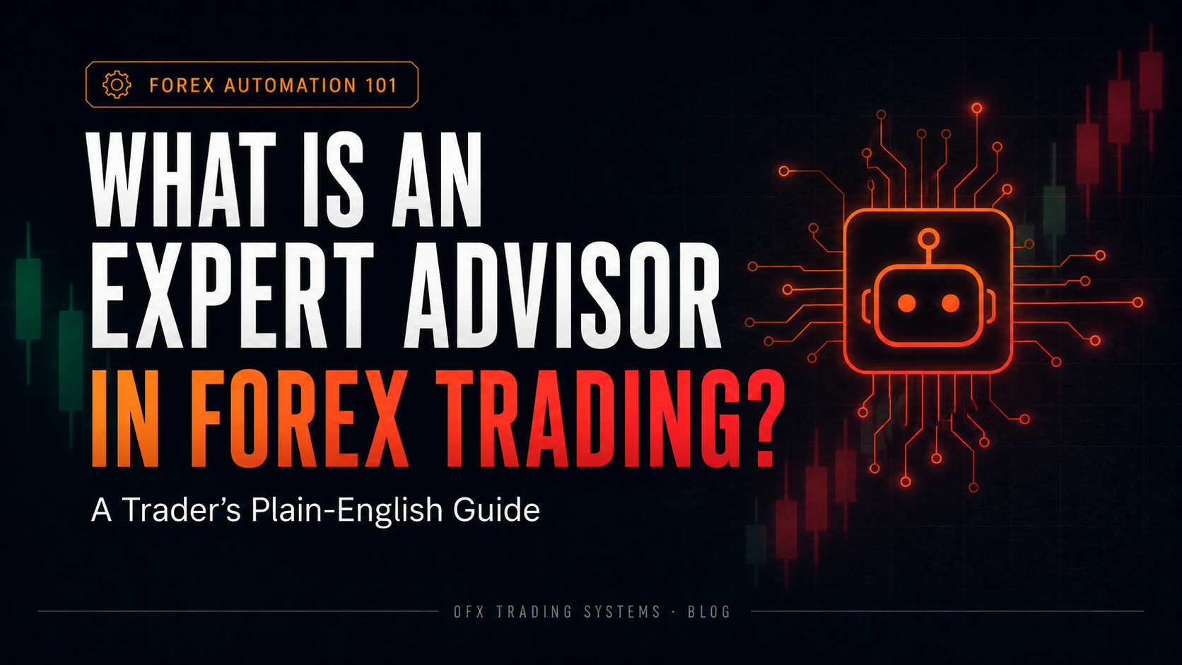 What Is an Expert Advisor in Forex Trading? A Trader's Plain-English Guide